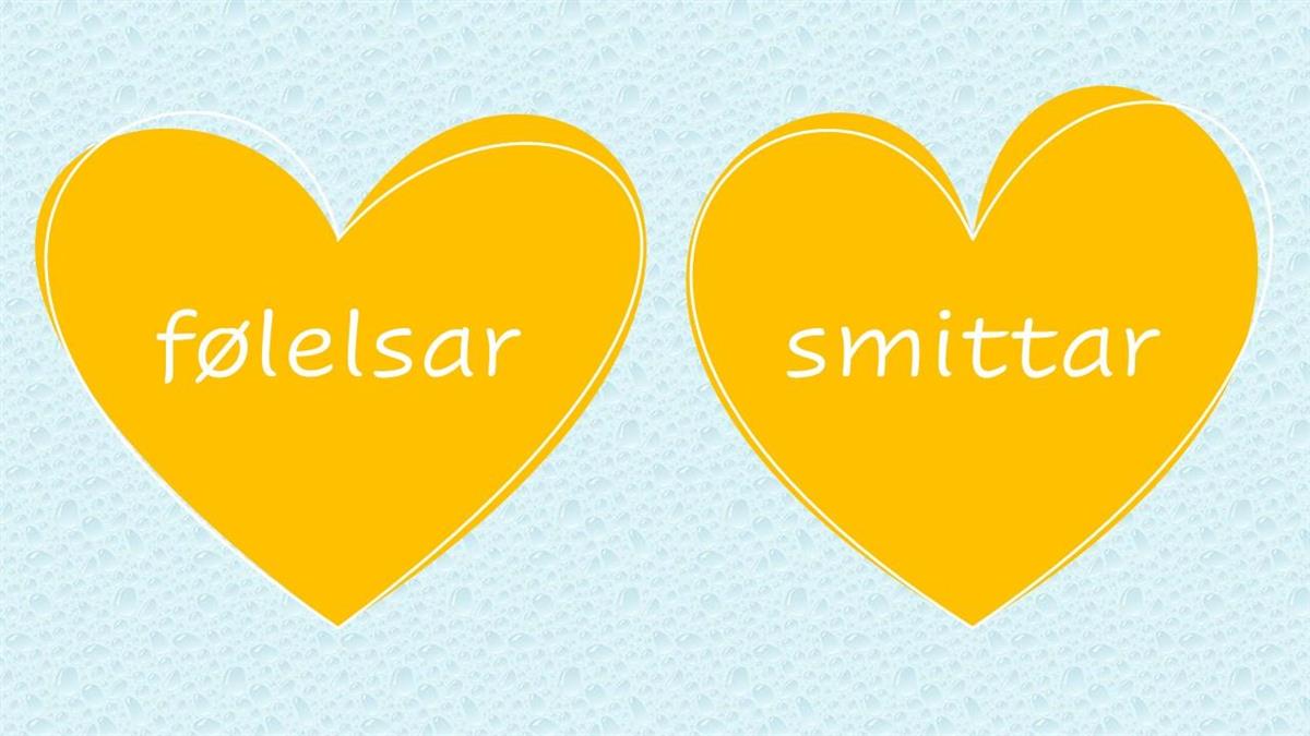 Illustrasjon av to gule hjerter på blå bakgrunn, på den eine står det følelsar i den andre står det smittar. - Klikk for stort bilete