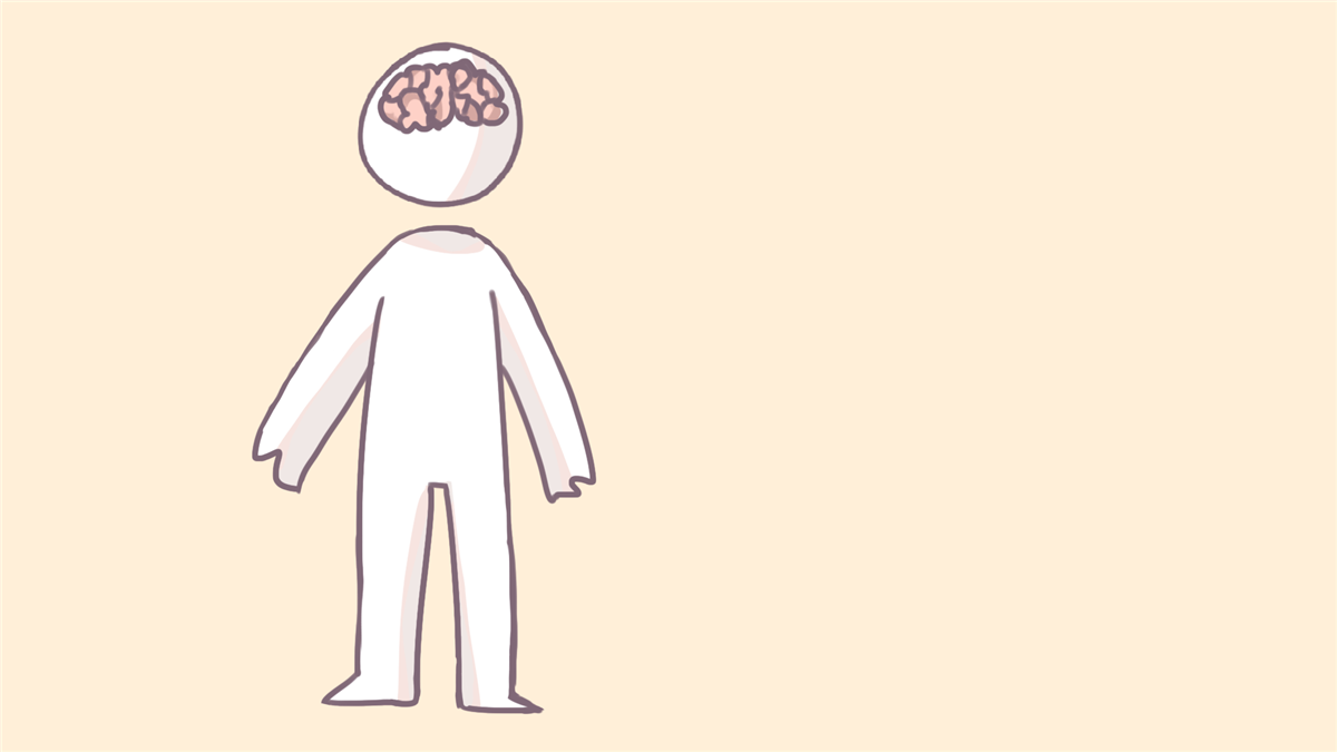 Illustrasjon som viser hjernen inni ein heilfigur. - Klikk for stort bilete