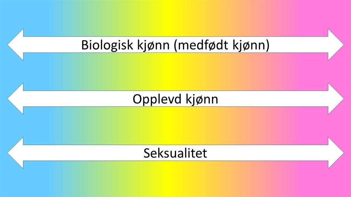Illustrasjon av mangfald. Bakgrunn går frå blå, grønn, gul til rosa, med kvite piler med tekst: biologisk kjønn, opplevd kjønn og seksualitet - Klikk for stort bilete