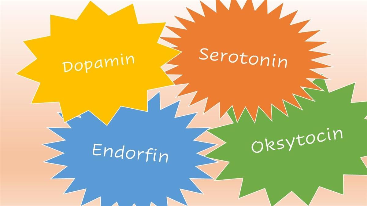 Illustrasjon som viser ulike hormon som blir aktivert av fysisk aktivitet: dopamin, serotonin, endorfin og oksytocin - Klikk for stort bilete