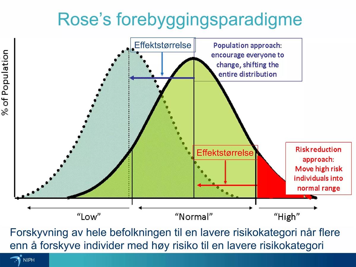 Illustrasjon som viser Rose`s forebyggingsparadigme vist i presentasjon laga av Arne Holte - Klikk for stort bilete