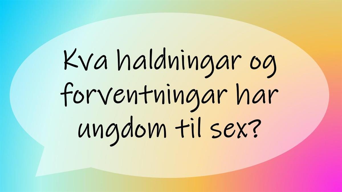 Kva haldingar og forventningar har ungdom til sex? - Klikk for stort bilete
